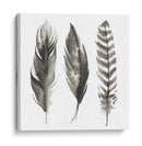 Plumas De Acuarela I - Grace Popp | Cuadro decorativo de Canvas Lab
