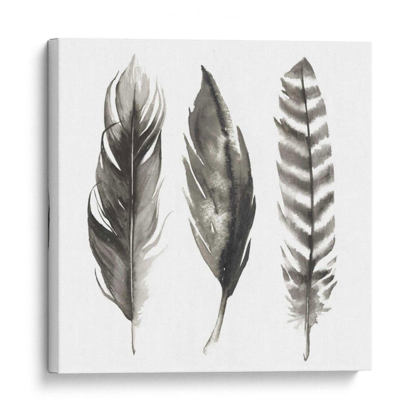 Plumas De Acuarela I - Grace Popp | Cuadro decorativo de Canvas Lab