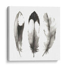 Plumas De Acuarela Ii - Grace Popp | Cuadro decorativo de Canvas Lab