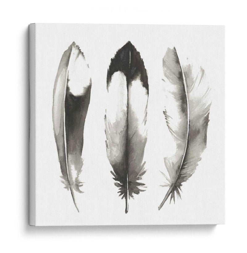 Plumas De Acuarela Ii - Grace Popp | Cuadro decorativo de Canvas Lab