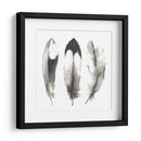 Plumas De Acuarela Ii - Grace Popp | Cuadro decorativo de Canvas Lab