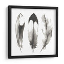 Plumas De Acuarela Ii - Grace Popp | Cuadro decorativo de Canvas Lab