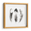 Plumas De Acuarela Ii - Grace Popp | Cuadro decorativo de Canvas Lab