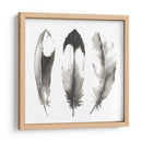 Plumas De Acuarela Ii - Grace Popp | Cuadro decorativo de Canvas Lab