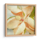 Magnolia Vintage I - Honey Malek | Cuadro decorativo de Canvas Lab