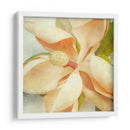 Magnolia Vintage I - Honey Malek | Cuadro decorativo de Canvas Lab