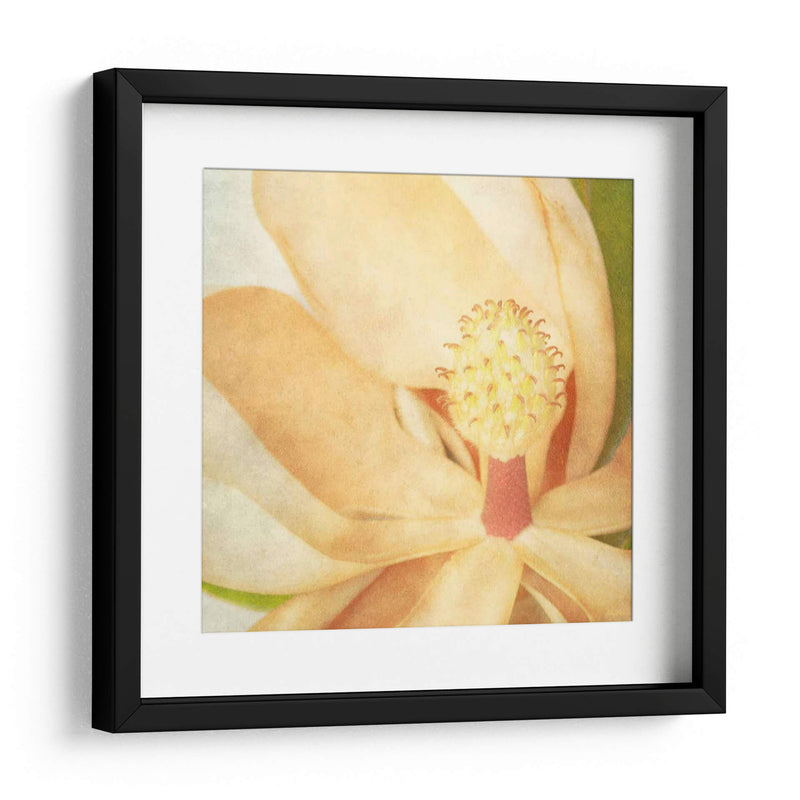 Magnolia Vintage Ii - Honey Malek | Cuadro decorativo de Canvas Lab