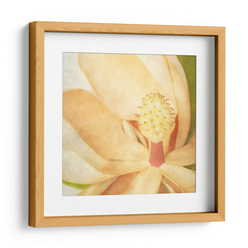 Magnolia Vintage Ii - Honey Malek | Cuadro decorativo de Canvas Lab