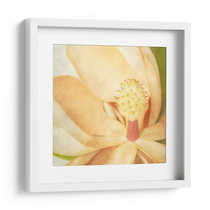 Magnolia Vintage Ii - Honey Malek | Cuadro decorativo de Canvas Lab