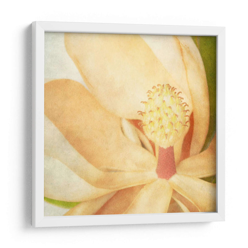 Magnolia Vintage Ii - Honey Malek | Cuadro decorativo de Canvas Lab