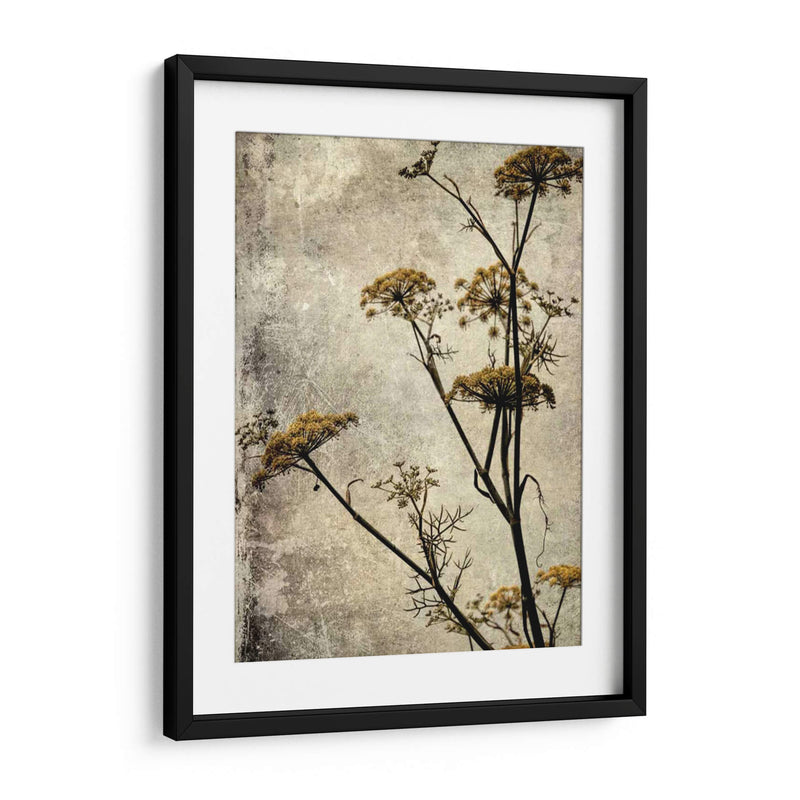 Big Sur Yarrow I - Honey Malek | Cuadro decorativo de Canvas Lab