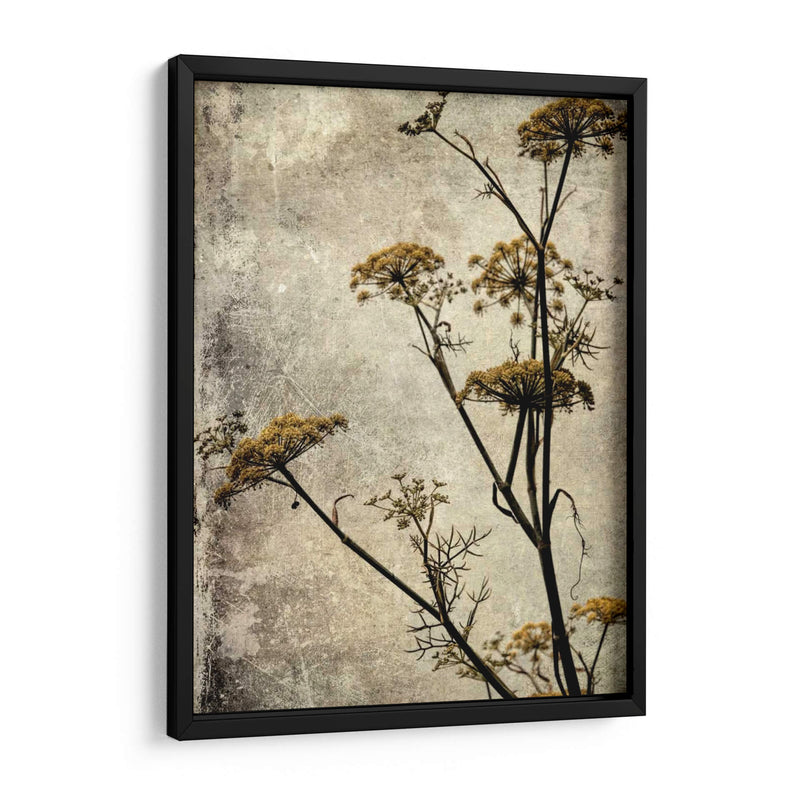 Big Sur Yarrow I - Honey Malek | Cuadro decorativo de Canvas Lab