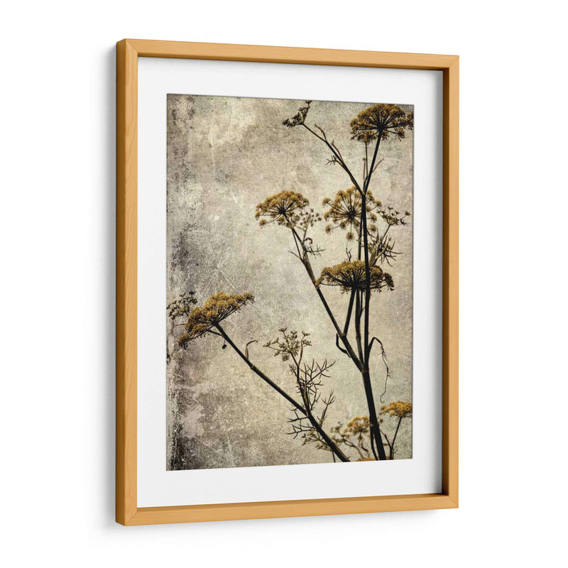 Big Sur Yarrow I - Honey Malek | Cuadro decorativo de Canvas Lab