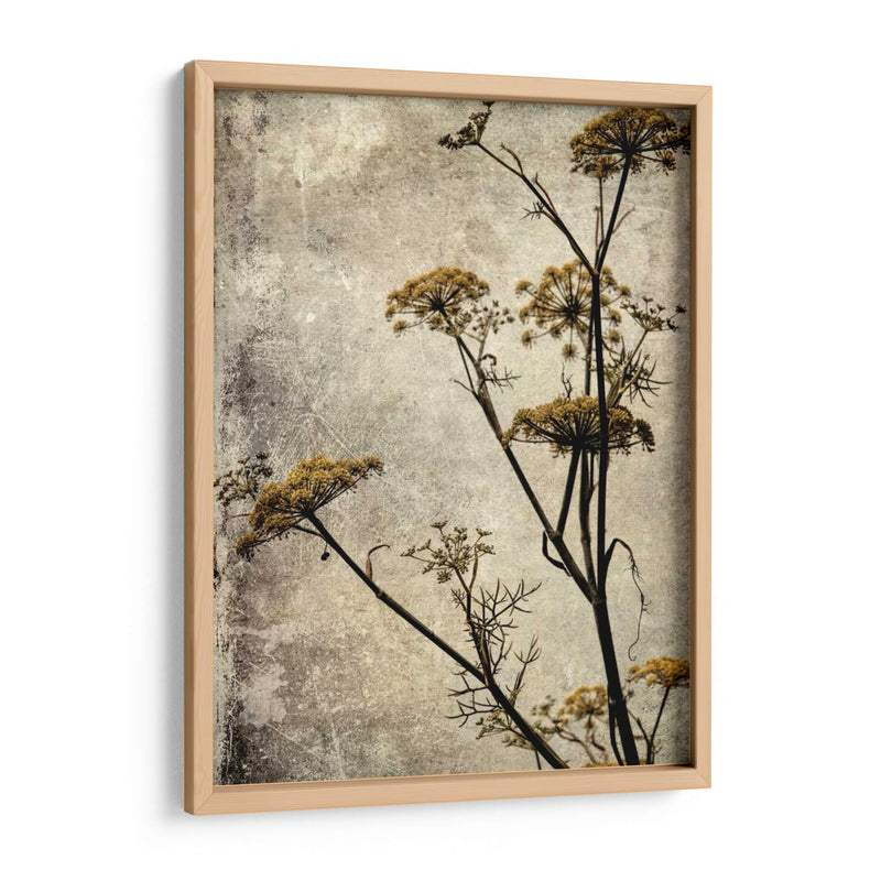 Big Sur Yarrow I - Honey Malek | Cuadro decorativo de Canvas Lab