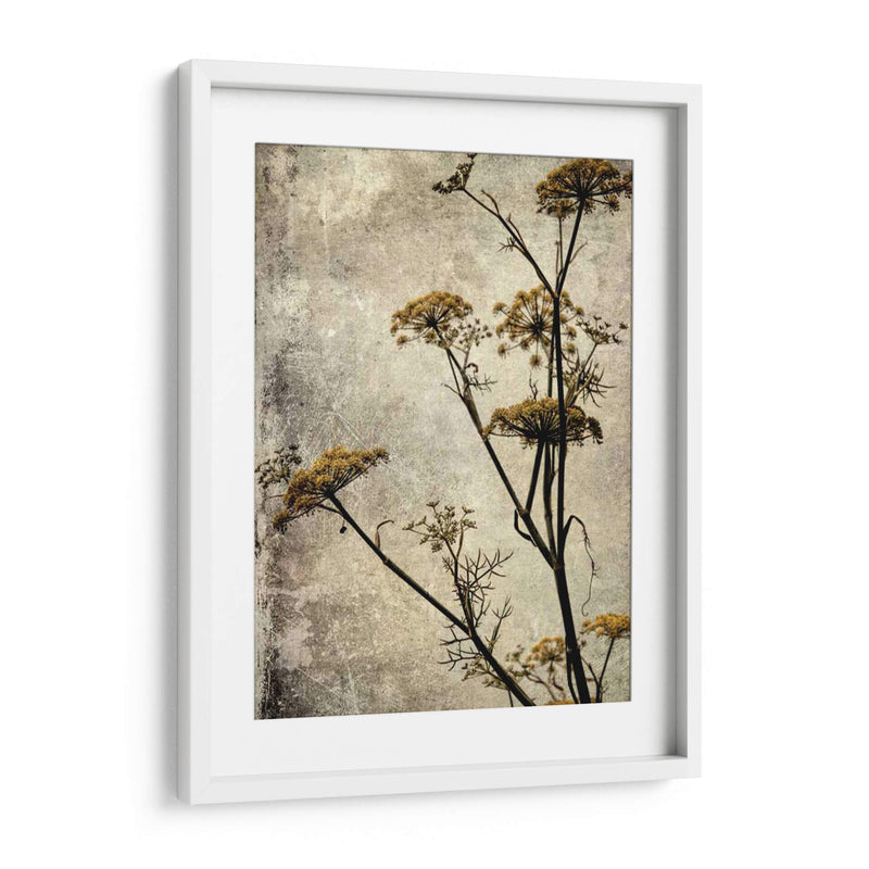 Big Sur Yarrow I - Honey Malek | Cuadro decorativo de Canvas Lab