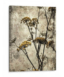 Big Sur Yarrow Ii - Honey Malek | Cuadro decorativo de Canvas Lab
