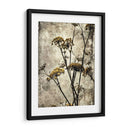 Big Sur Yarrow Ii - Honey Malek | Cuadro decorativo de Canvas Lab