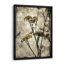 Big Sur Yarrow Ii - Honey Malek | Cuadro decorativo de Canvas Lab