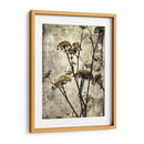 Big Sur Yarrow Ii - Honey Malek | Cuadro decorativo de Canvas Lab