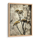 Big Sur Yarrow Ii - Honey Malek | Cuadro decorativo de Canvas Lab