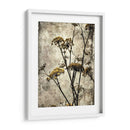 Big Sur Yarrow Ii - Honey Malek | Cuadro decorativo de Canvas Lab