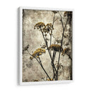 Big Sur Yarrow Ii - Honey Malek | Cuadro decorativo de Canvas Lab