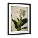 Gardenia Grunge I - Honey Malek | Cuadro decorativo de Canvas Lab