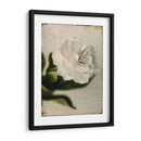 Gardenia Grunge Ii - Honey Malek | Cuadro decorativo de Canvas Lab