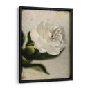 Gardenia Grunge Ii - Honey Malek | Cuadro decorativo de Canvas Lab
