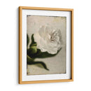 Gardenia Grunge Ii - Honey Malek | Cuadro decorativo de Canvas Lab