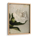 Gardenia Grunge Ii - Honey Malek | Cuadro decorativo de Canvas Lab