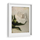 Gardenia Grunge Ii - Honey Malek | Cuadro decorativo de Canvas Lab