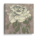 Silver Rose I - Chariklia Zarris | Cuadro decorativo de Canvas Lab
