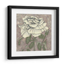 Silver Rose I - Chariklia Zarris | Cuadro decorativo de Canvas Lab