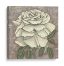Silver Rose Ii - Chariklia Zarris | Cuadro decorativo de Canvas Lab