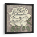 Silver Rose Ii - Chariklia Zarris | Cuadro decorativo de Canvas Lab