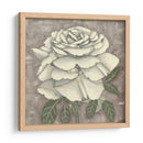 Silver Rose Ii - Chariklia Zarris | Cuadro decorativo de Canvas Lab
