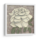 Silver Rose Ii - Chariklia Zarris | Cuadro decorativo de Canvas Lab
