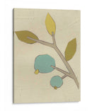 Tallos Simples Ii - June Erica Vess | Cuadro decorativo de Canvas Lab