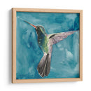 Acuarela Hummingbird Ii - Grace Popp | Cuadro decorativo de Canvas Lab
