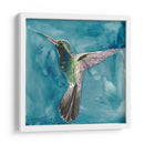 Acuarela Hummingbird Ii - Grace Popp | Cuadro decorativo de Canvas Lab