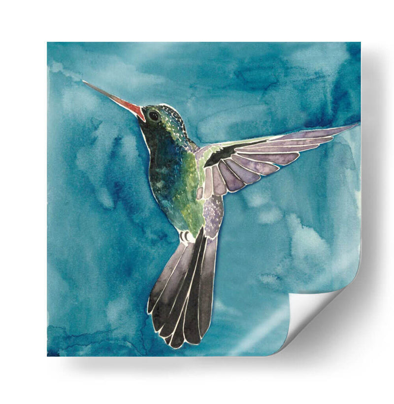 Acuarela Hummingbird Ii - Grace Popp | Cuadro decorativo de Canvas Lab