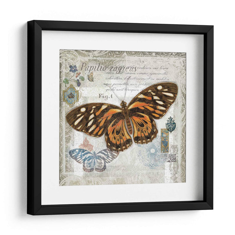 Artefacto De Mariposa I - Alan Hopfensperger | Cuadro decorativo de Canvas Lab