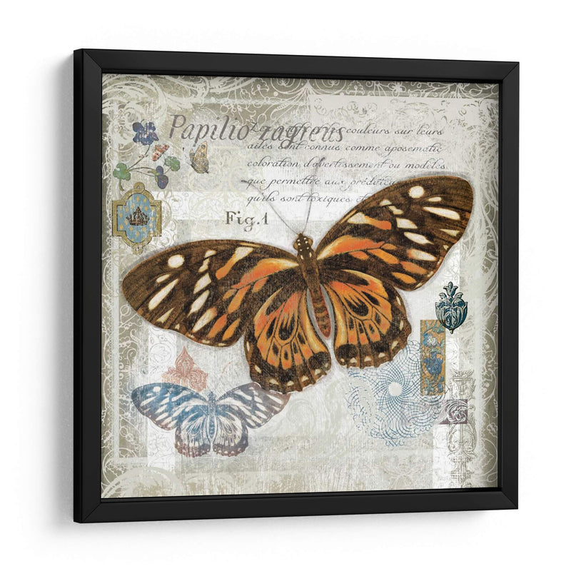 Artefacto De Mariposa I - Alan Hopfensperger | Cuadro decorativo de Canvas Lab