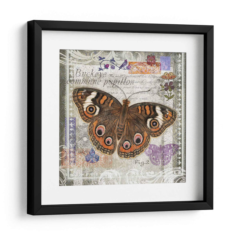 Artefacto De Mariposa Ii - Alan Hopfensperger | Cuadro decorativo de Canvas Lab