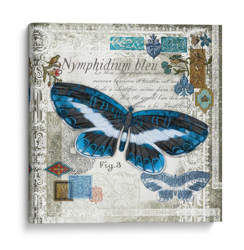 Mariposa Artefacto Iii - Alan Hopfensperger | Cuadro decorativo de Canvas Lab