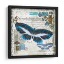 Mariposa Artefacto Iii - Alan Hopfensperger | Cuadro decorativo de Canvas Lab