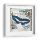 Mariposa Artefacto Iii - Alan Hopfensperger | Cuadro decorativo de Canvas Lab