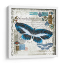 Mariposa Artefacto Iii - Alan Hopfensperger | Cuadro decorativo de Canvas Lab