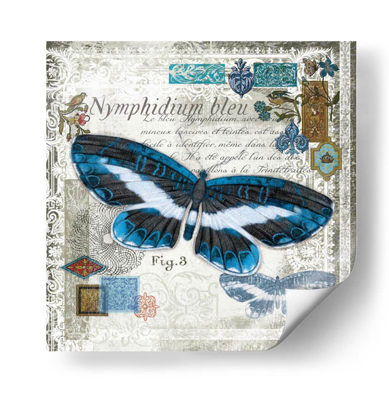 Mariposa Artefacto Iii - Alan Hopfensperger | Cuadro decorativo de Canvas Lab